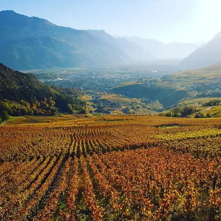 Bella Flocon Min 2 Nights Special Weekly And Monthly Prices (adults Only)