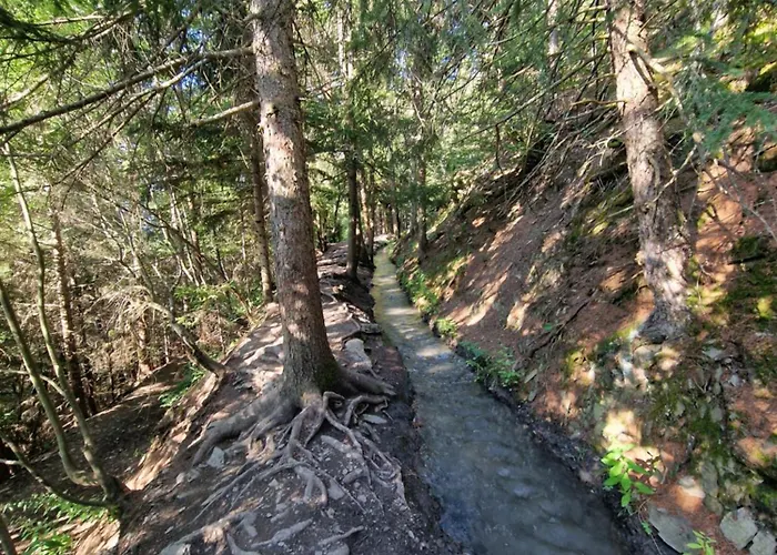 Bella & Flocon & Carnotzet Private Pool & Min 1 Week (adults Only) *